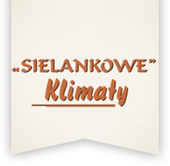Restauracja Sielankowe Klimaty Lubliniec